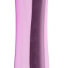 Вибратор-лепесток ABS-Vibrator - 15 см. Вибратор-лепесток ABS-Vibrator - 15 см.